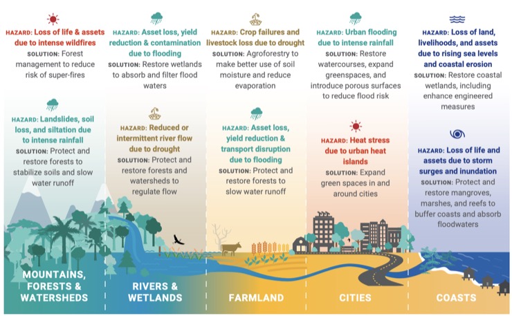 Using Nature-Based solutions to build climate resilience.