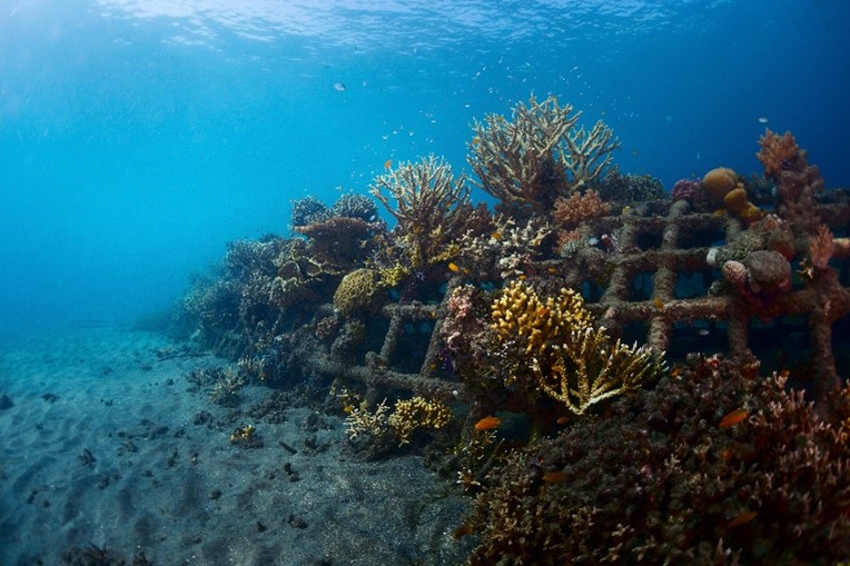 Artificial coral reef