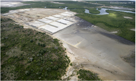 Shrimp farm in South East Asia