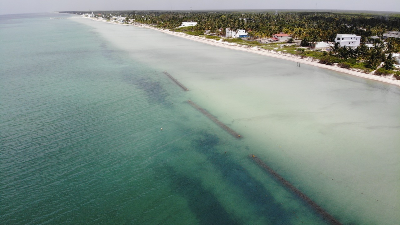 Line of installed reefs in water