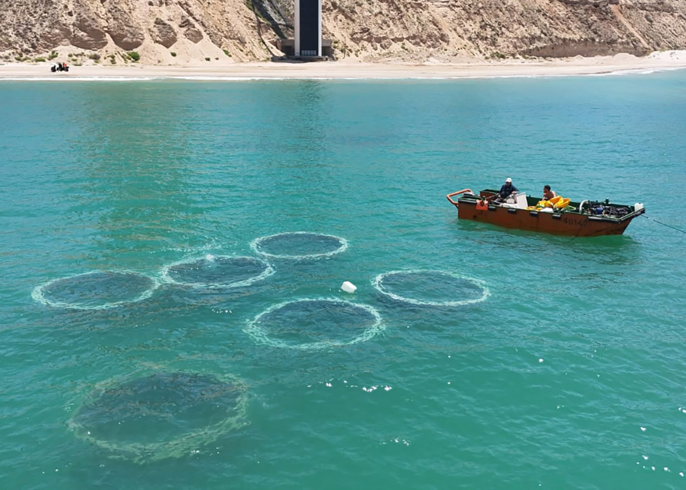 Reef being installed with a small boat