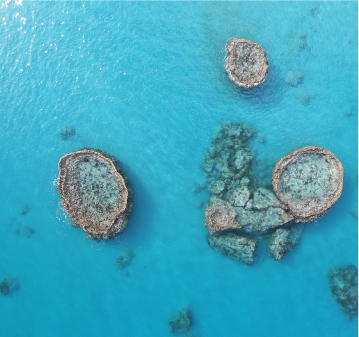 Boiler reefs in Bermuda. Photo by: Roy Burch