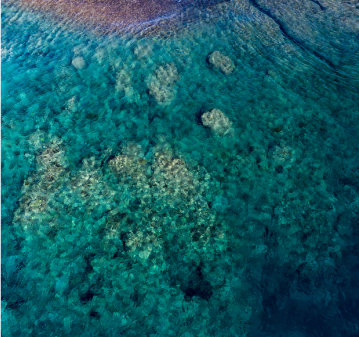 Ariel view of CCell Reefs at Telchac