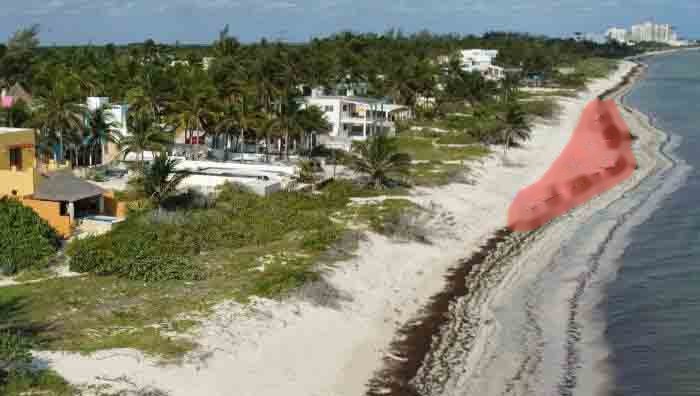Beach at Telchac Puerto with the area of sand that has built up behind the CCell reef shaded red