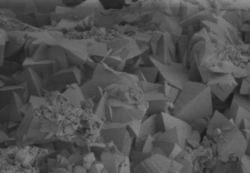 Electron microscope image of calcite crystals