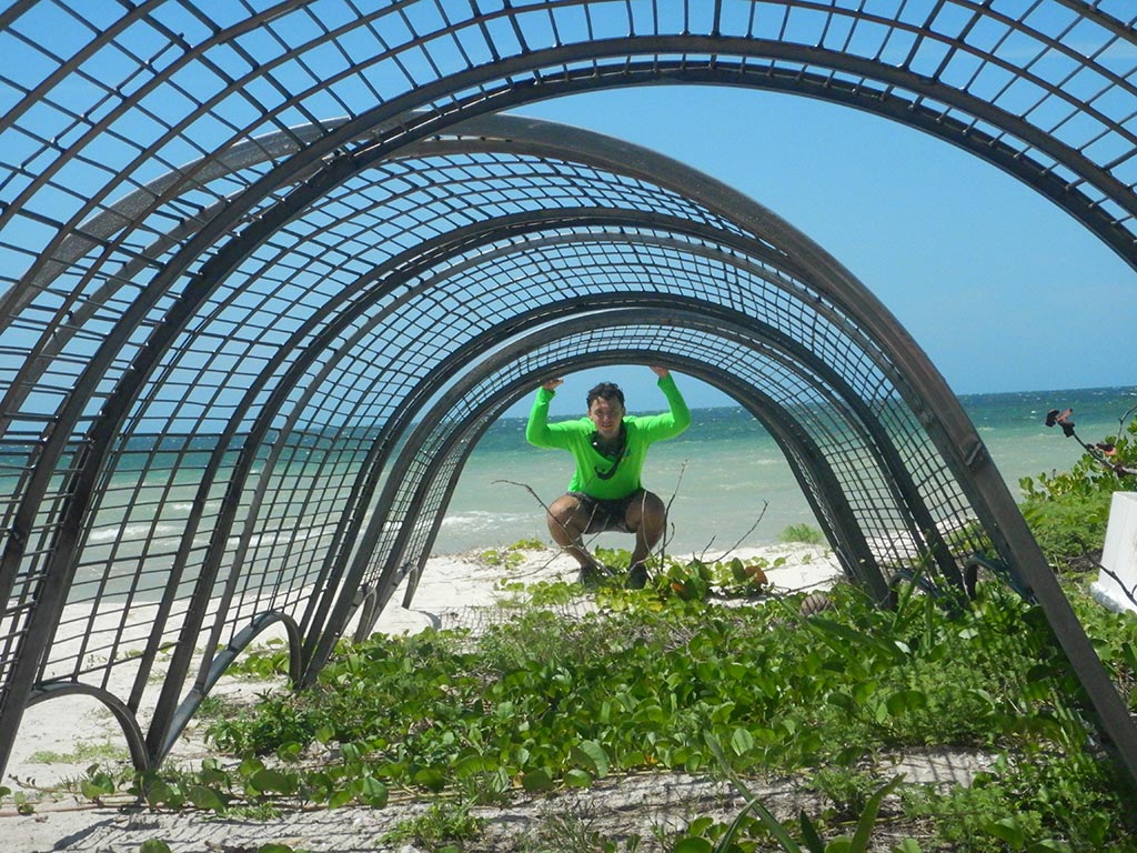 CCell |Technology: Renewable energy to grow artifical reefs
